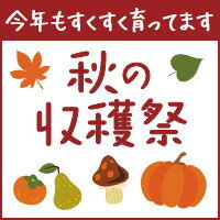furusato_autumn.jpg