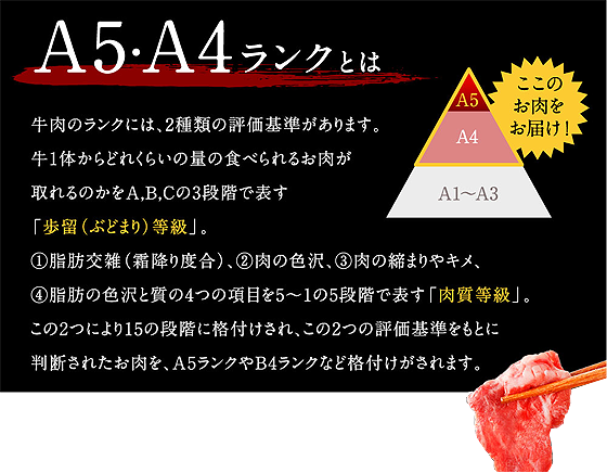 A5A4ランク.png