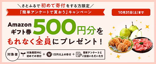 さとふるキャンペーン_2010.jpg