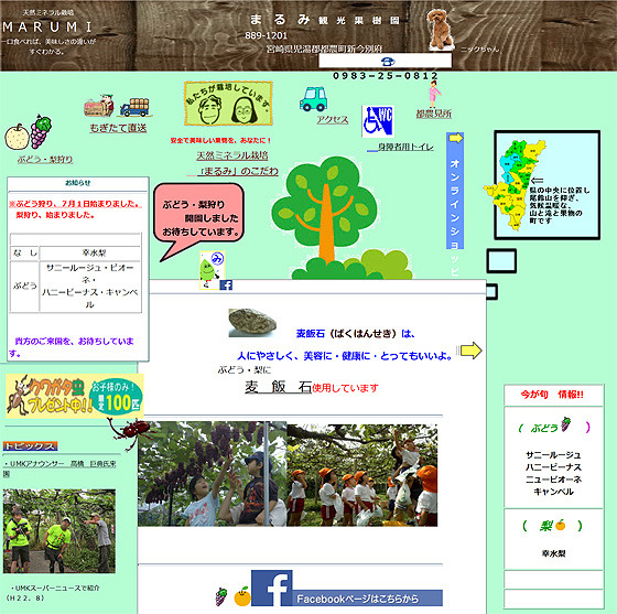 まるみ果樹園HP.jpg