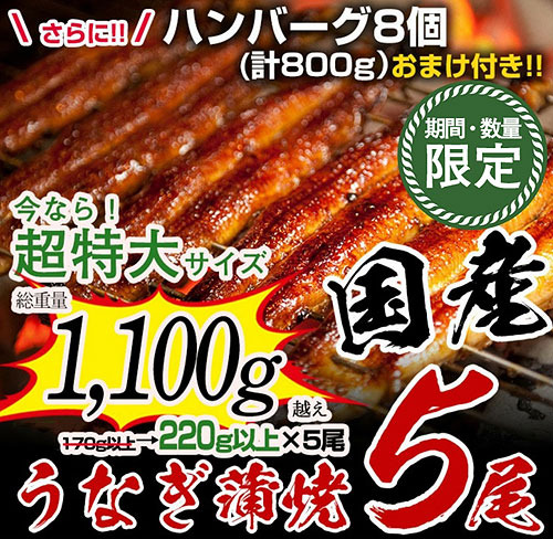 ハンバーグ8個付きうなぎ蒲焼_宮崎県都農町.jpg