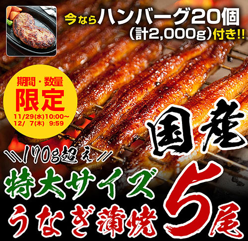 今ならハンバーグ20個つき.jpg