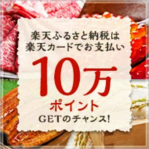 楽天カード_10万ポイントGET.jpg
