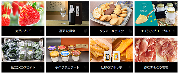 楽天限定返礼品2018.png