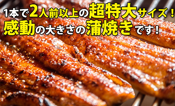 超特大国産うなぎ2本セット_和歌山県有田市.jpg